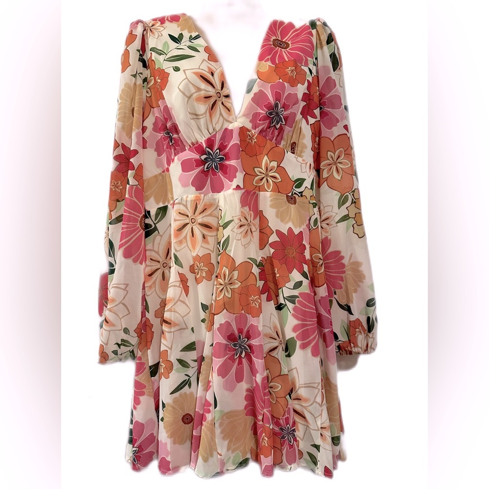 Floral Dress - Lined - Picture 1 of 3